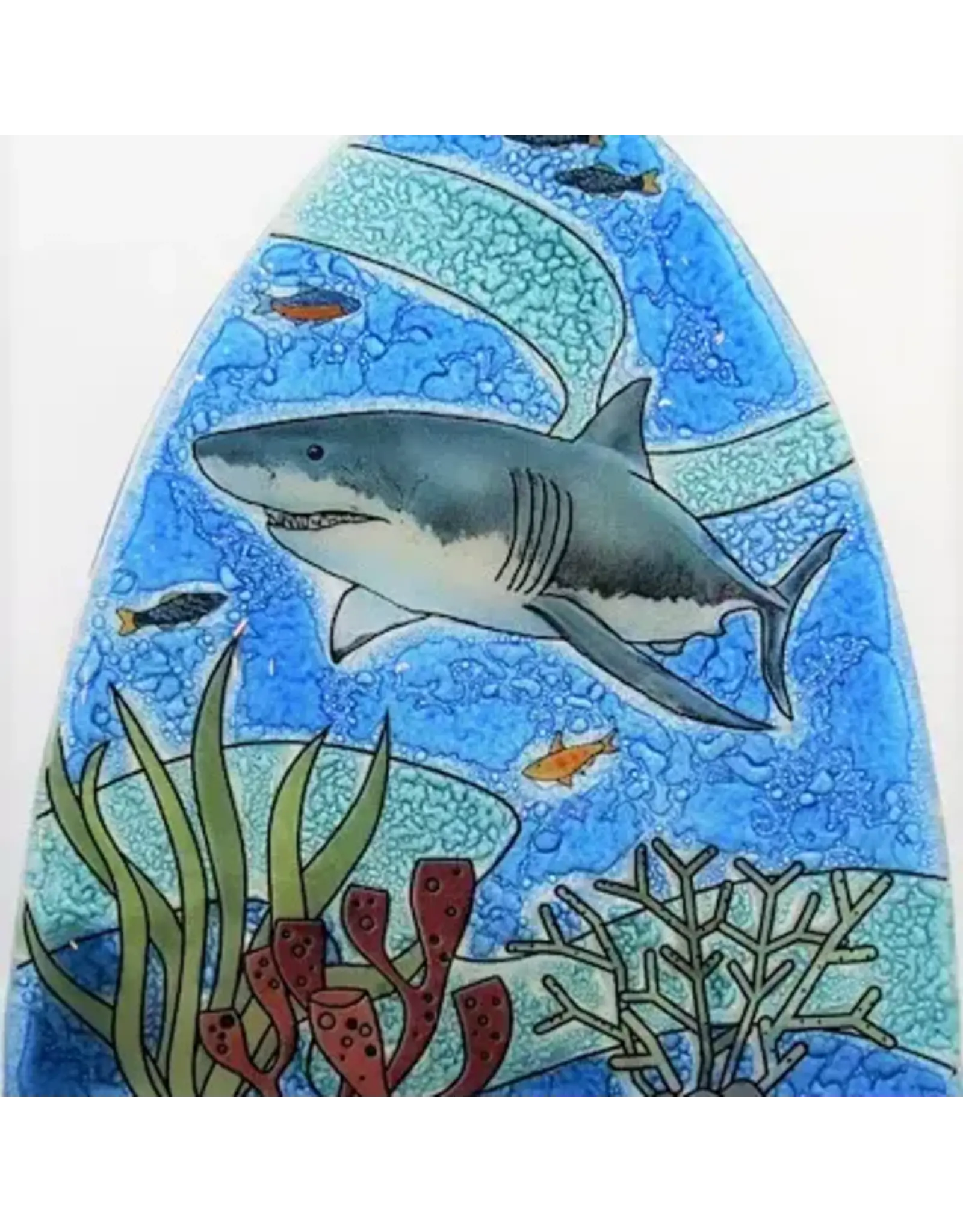Shark Night light, Ecuador
