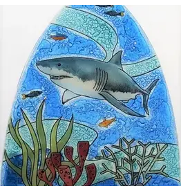 Shark Night light, Ecuador