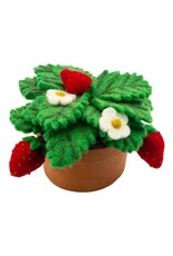 Felt Strawberry Plant, Nepal