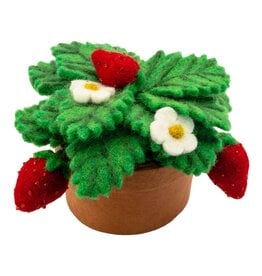 Felt Strawberry Plant, Nepal