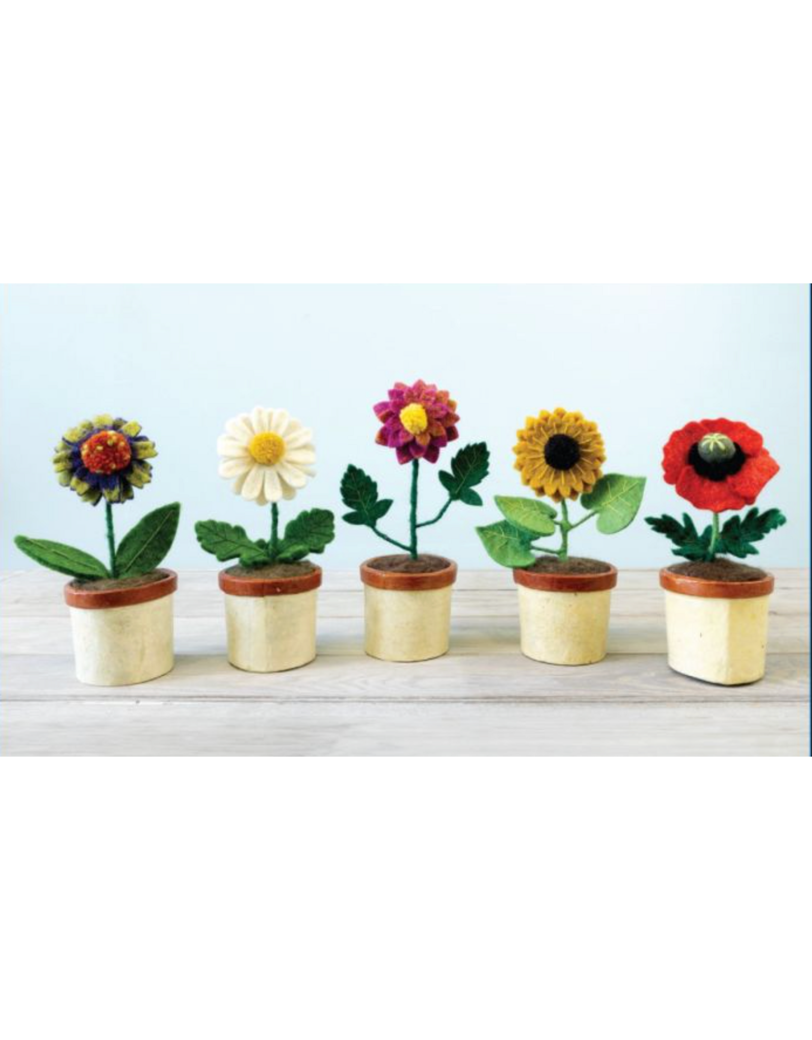Potted Flowers, Nepal