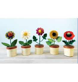 Potted Flowers, Nepal