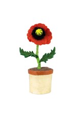 Potted Flowers, Nepal Potted Flowers, Nepal