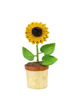 Potted Flowers, Nepal Potted Flowers, Nepal