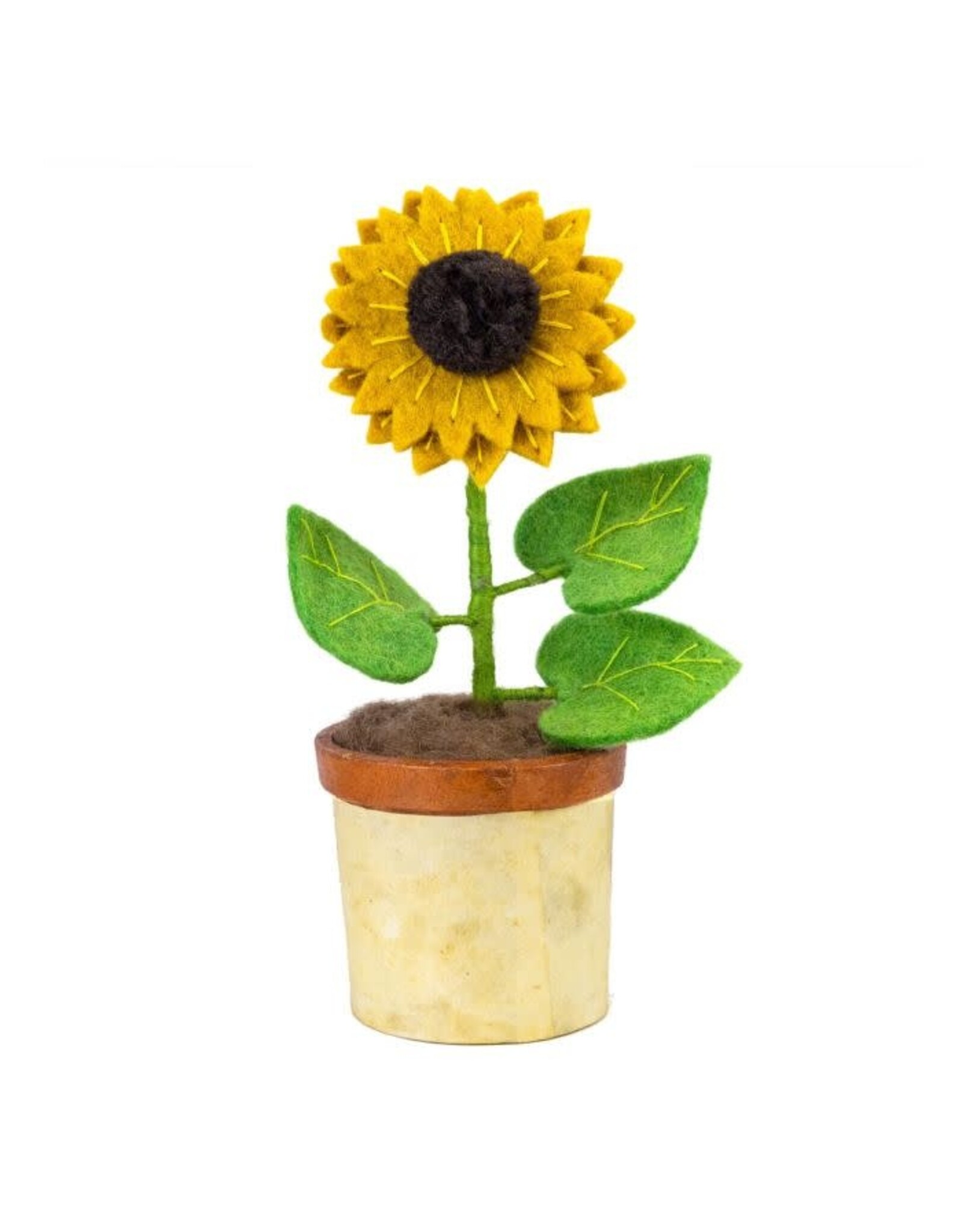 Potted Flowers, Nepal