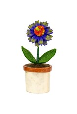 Potted Flowers, Nepal Potted Flowers, Nepal