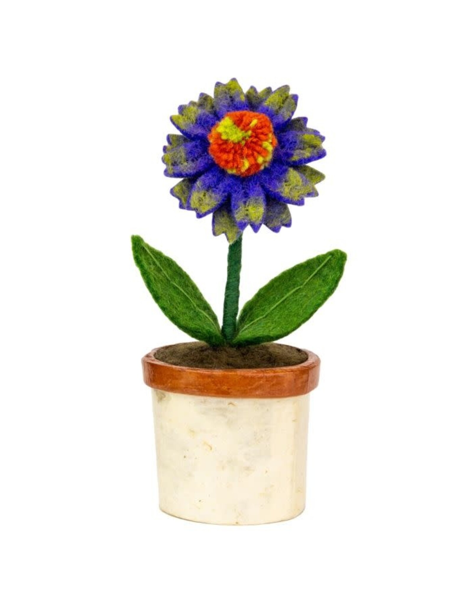 Potted Flowers, Nepal