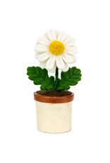 Potted Flowers, Nepal Potted Flowers, Nepal