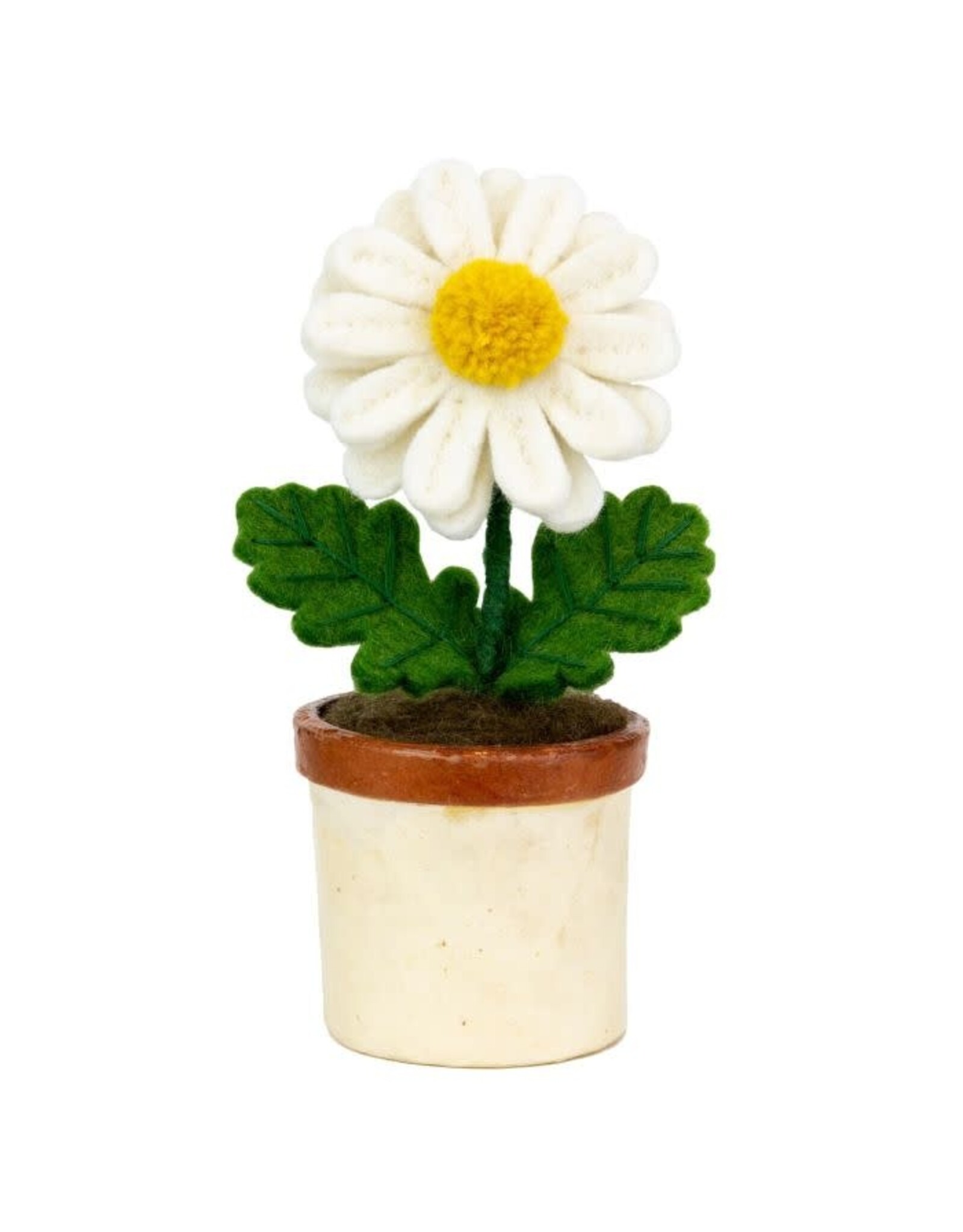 Potted Flowers, Nepal