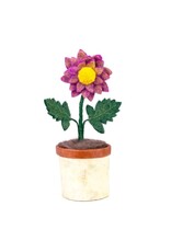 Potted Flowers, Nepal Potted Flowers, Nepal