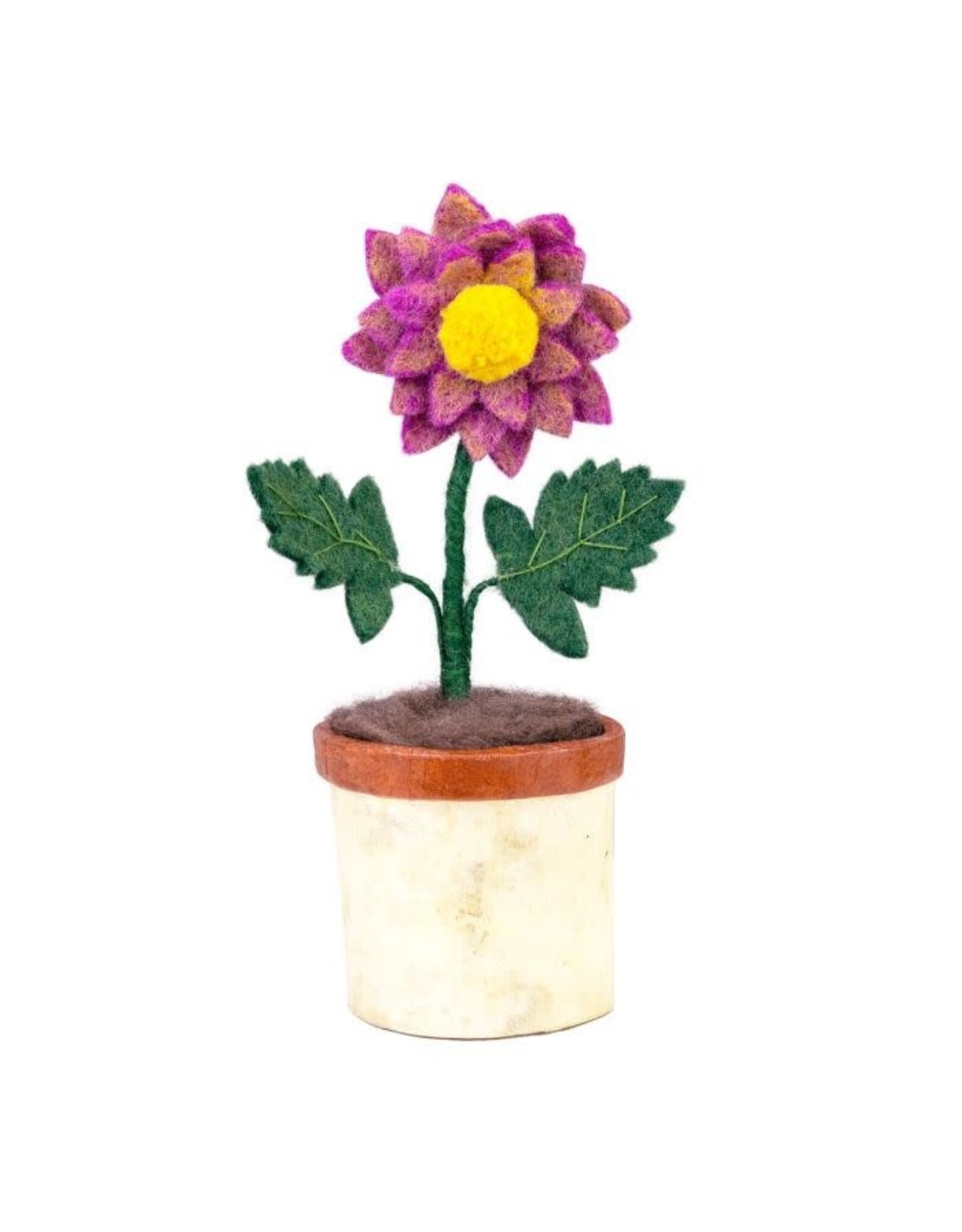 Potted Flowers, Nepal