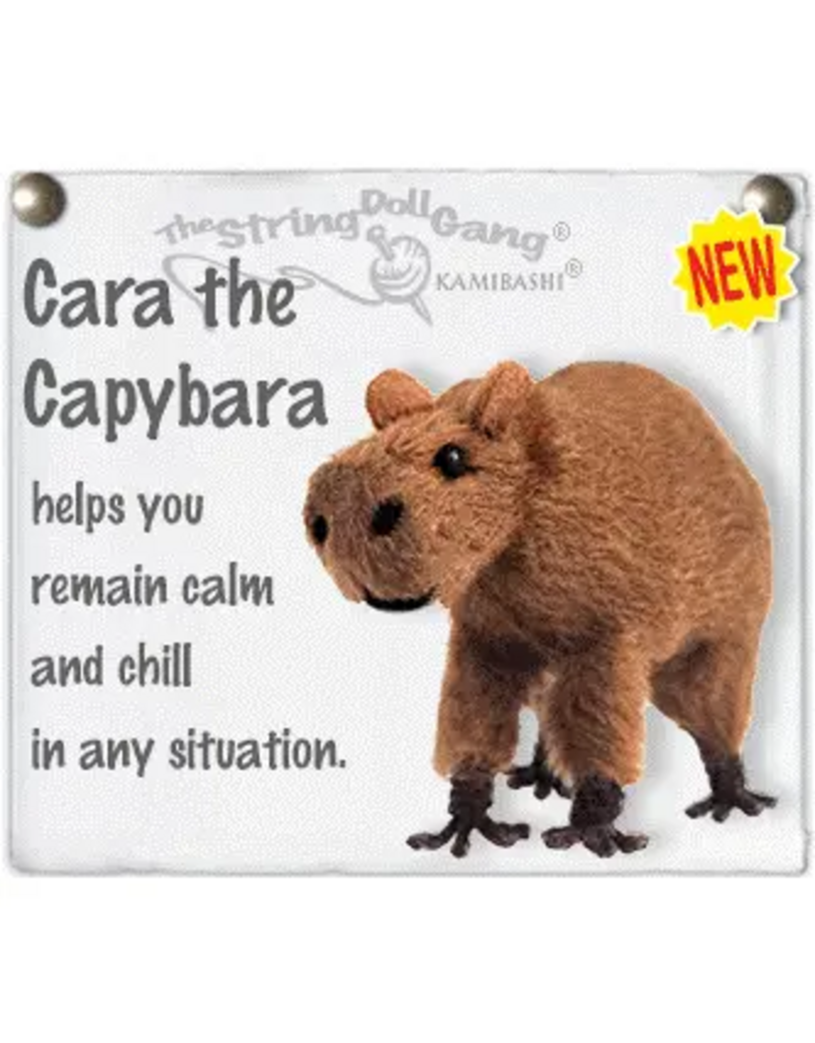 Cara the Capybara