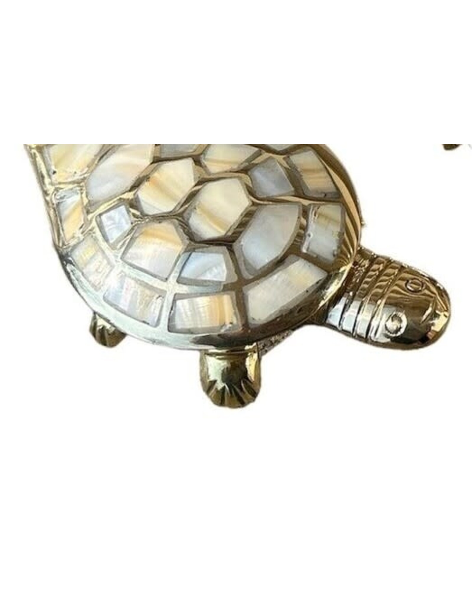 Brass Turtle Box