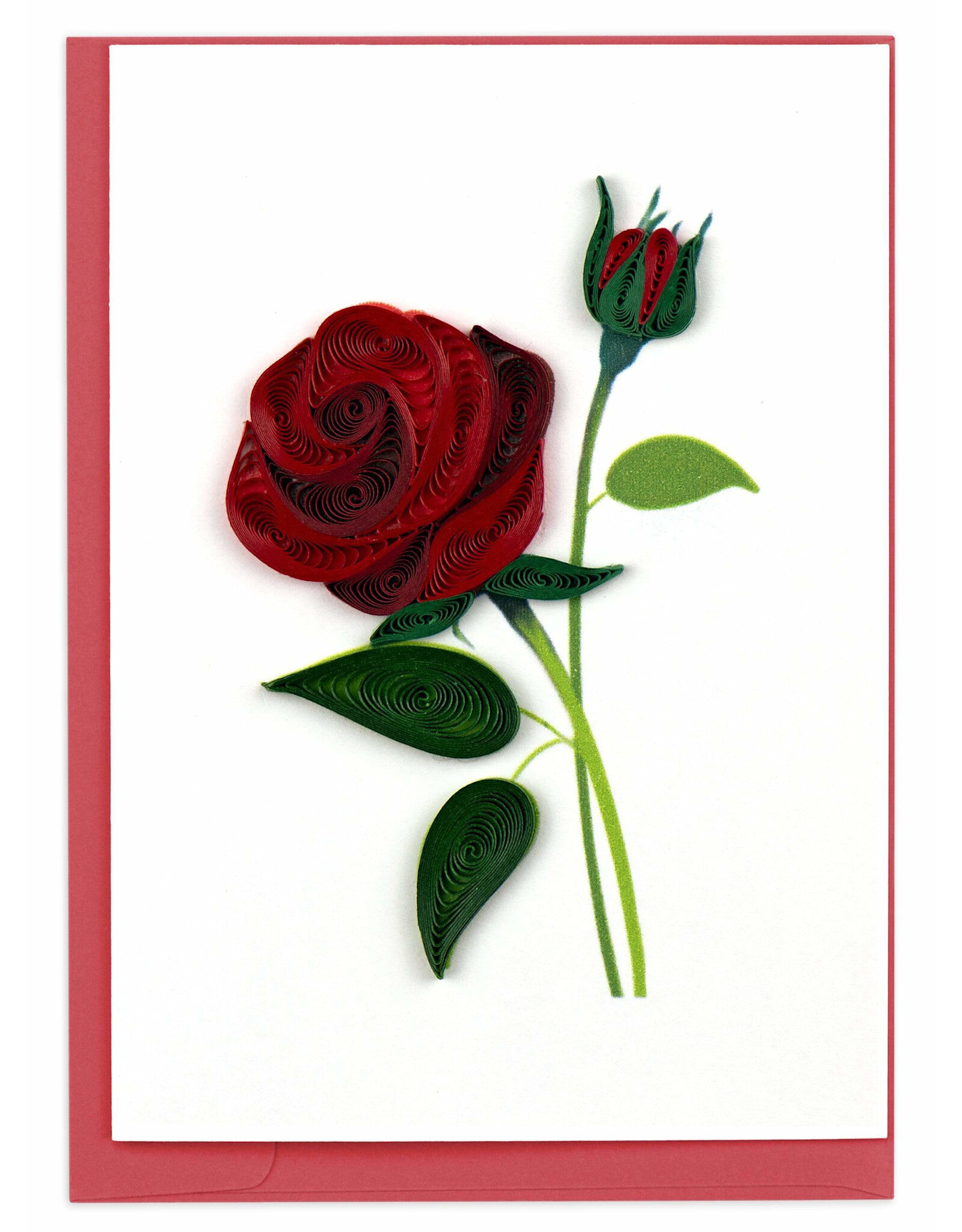 Rose,  Quill Gift Enclosure, Vietnam