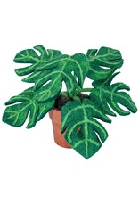 Potted Monstera