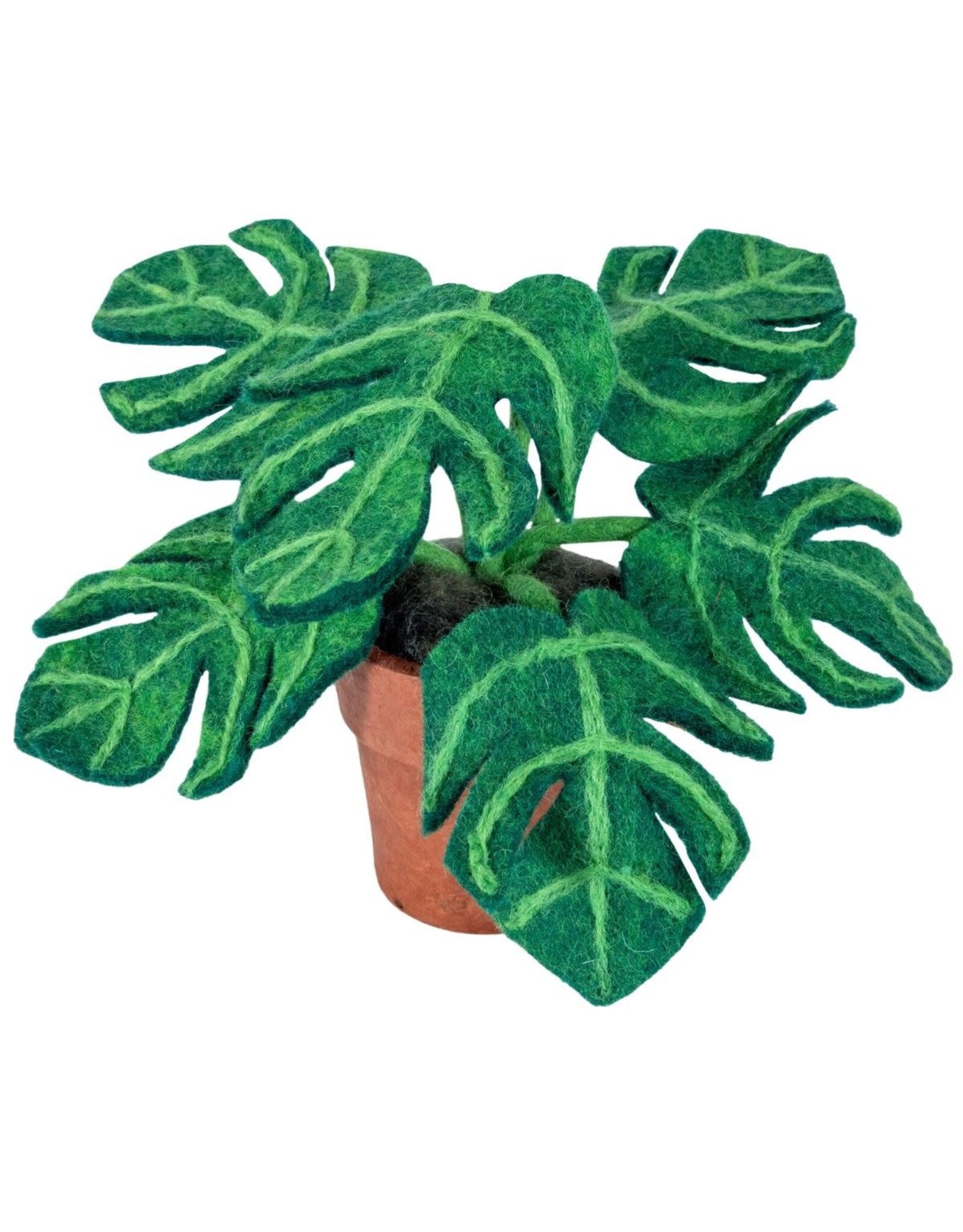 Potted Monstera