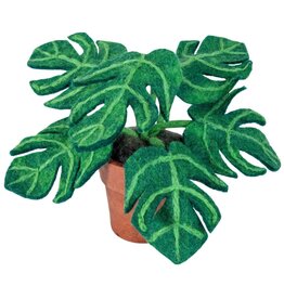 Potted Monstera