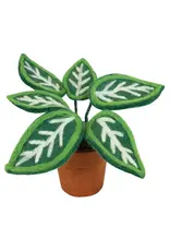 Zebra Felt Plant
