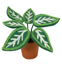 Zebra Felt Plant