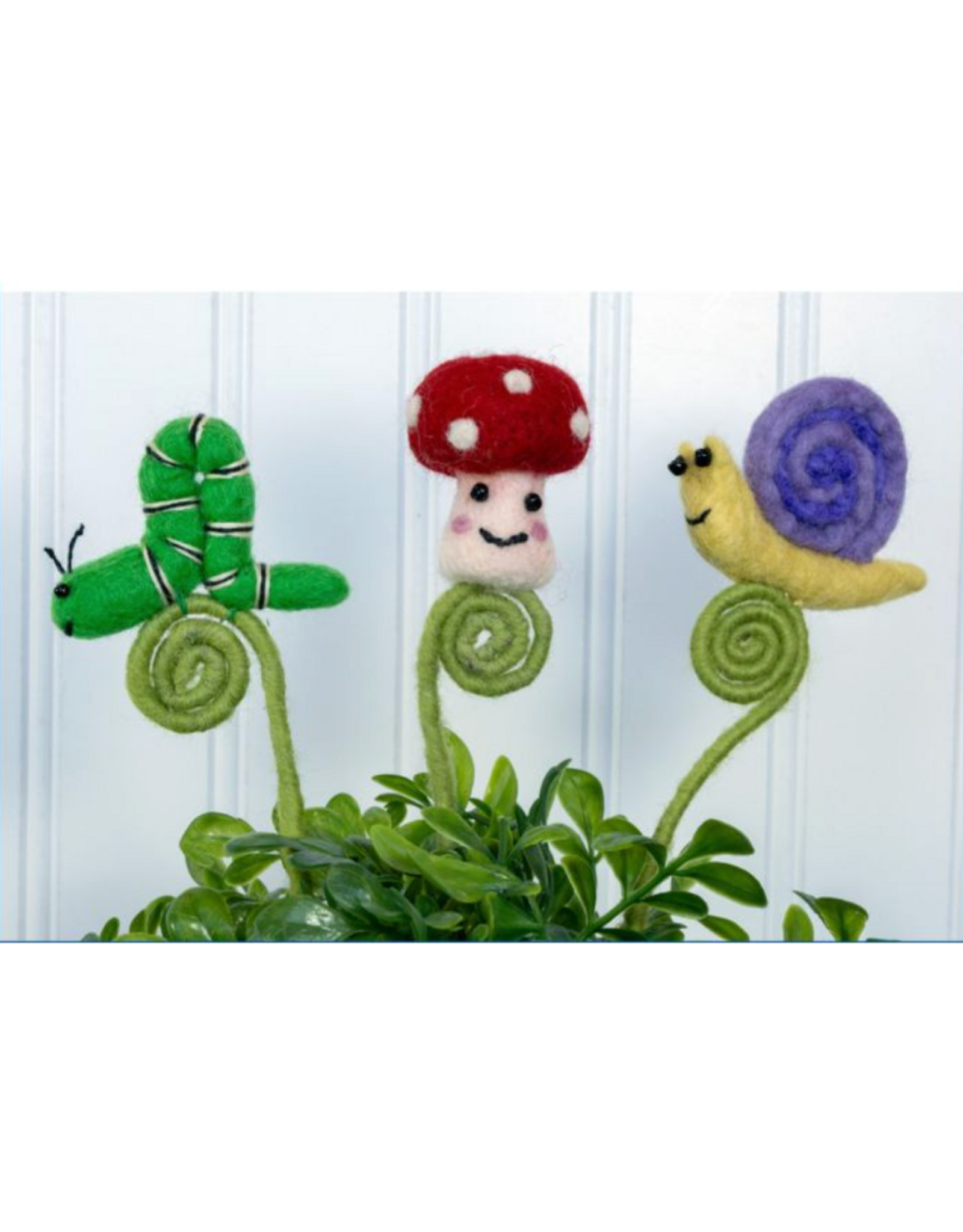 Frond Friends, Nepal