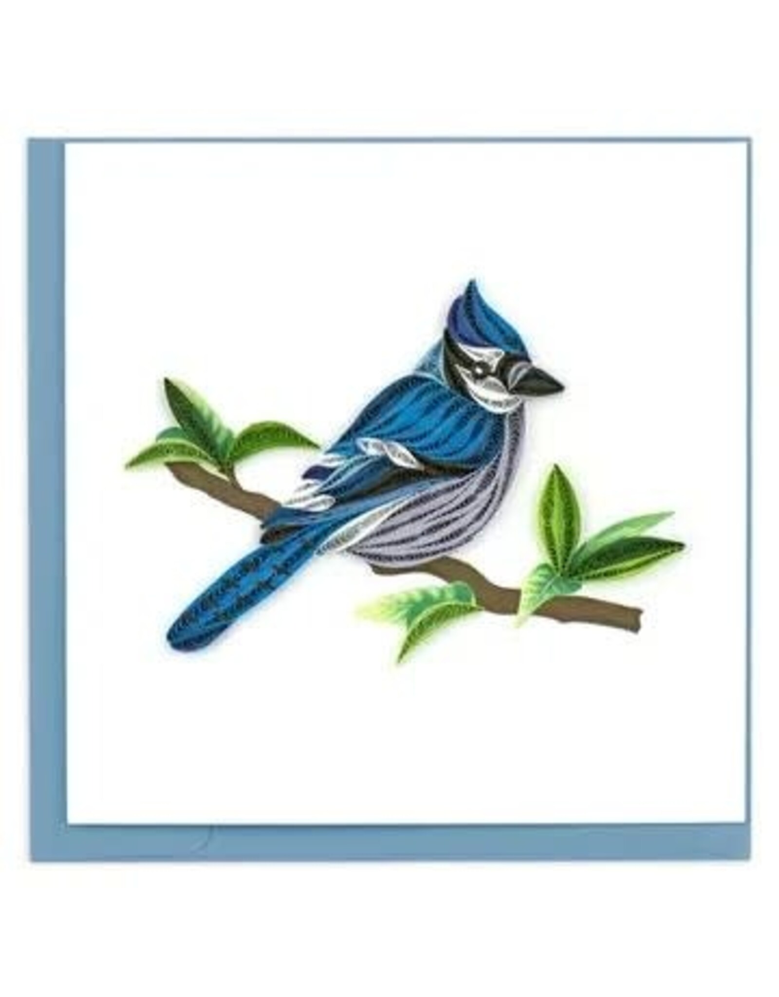 quilling Blue Jay Quill