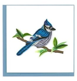 quilling Blue Jay Quill