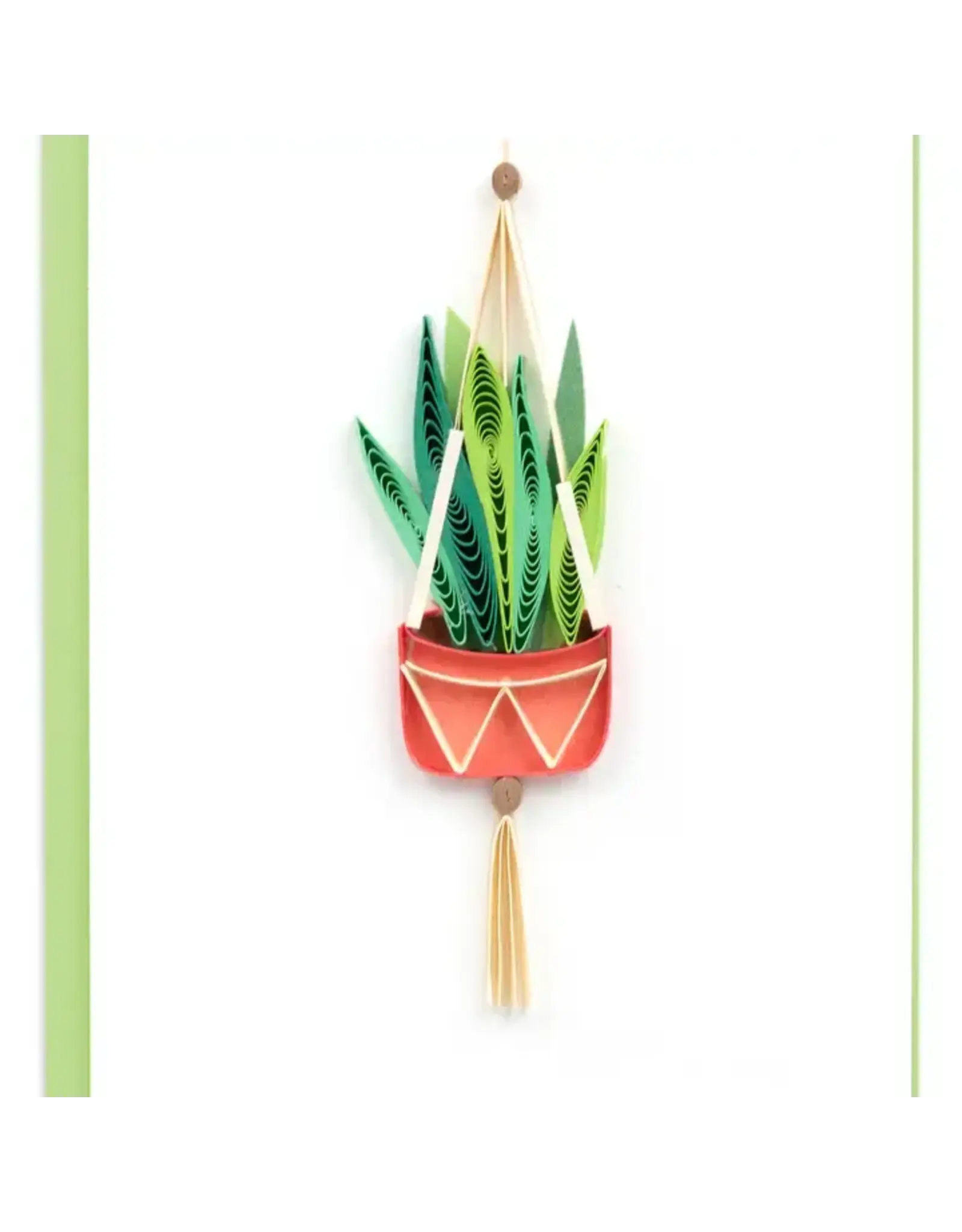 Snake Plant Macrame Hanger Gift Enclosure Mini Card, Vietnam
