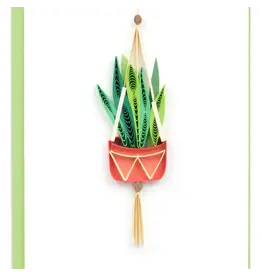 Snake Plant Macrame Hanger Gift Enclosure Mini Card, Vietnam