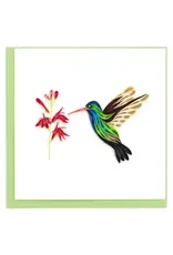 Broad-billed Hummingbird, Vietnam