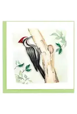 Pileated Woodpecker, Vietnam