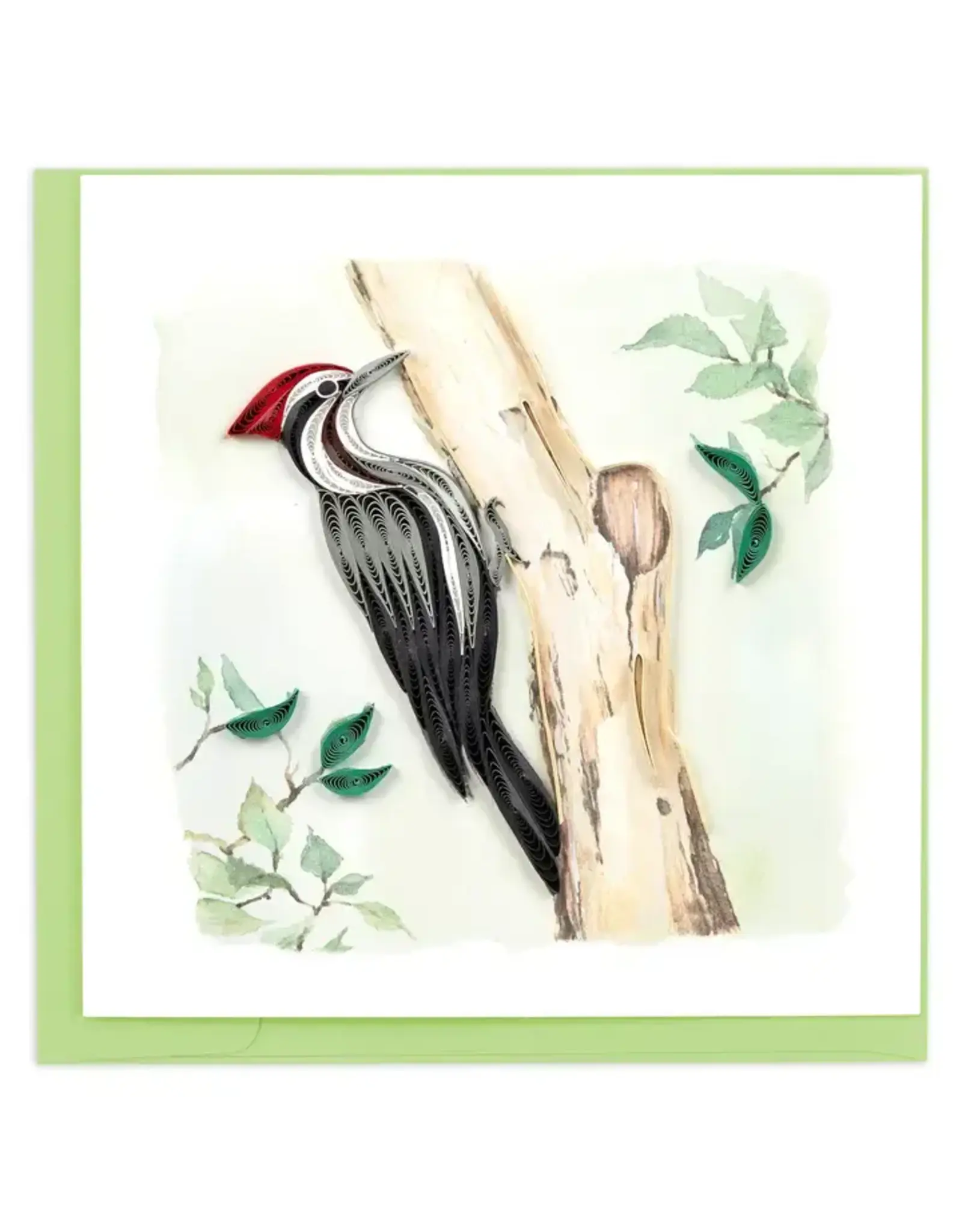 Pileated Woodpecker, Vietnam