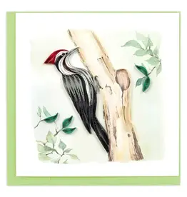Pileated Woodpecker, Vietnam