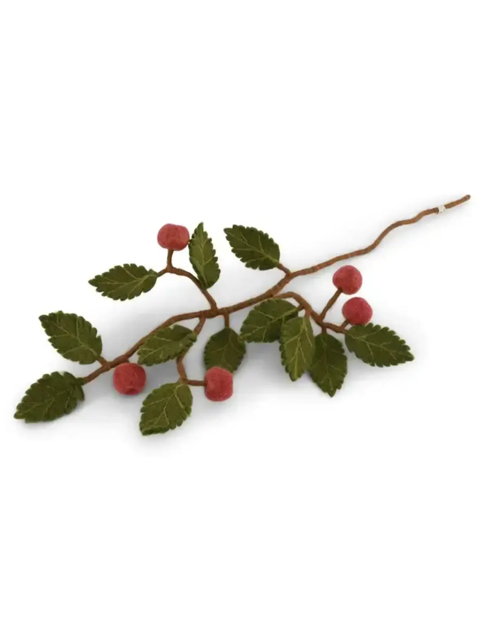 Branch W/Dusty Red Apples, Nepal