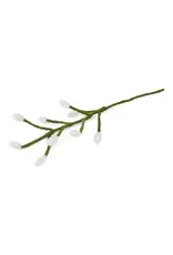 Branch W/Long White Bells, Nepal