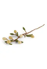 Felted Lemon Branch, Nepal