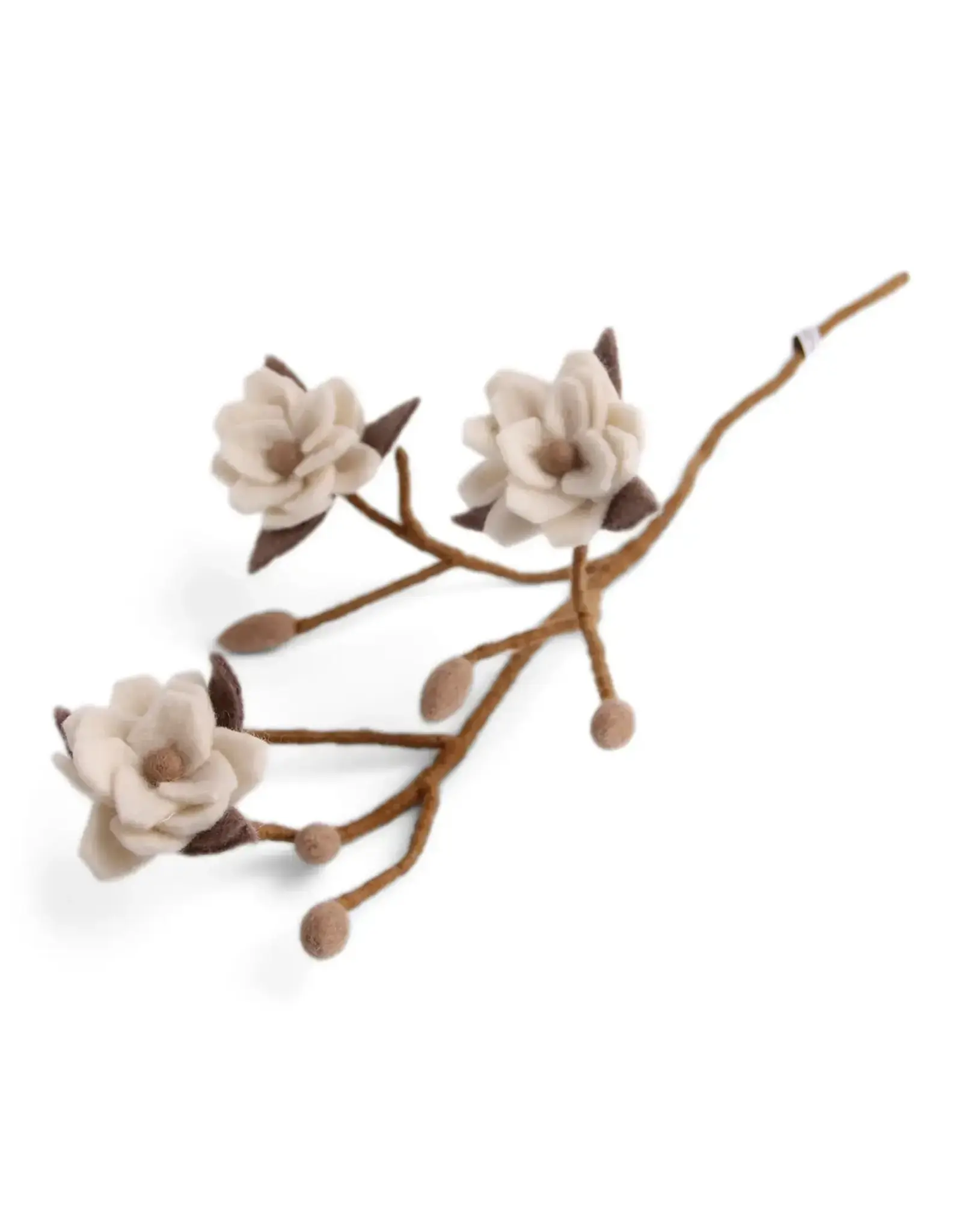 Magnolia Branch w/ White Flowers
