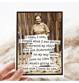 I Came, I Saw, I Forgot What I Was Doin. Greeting Card.