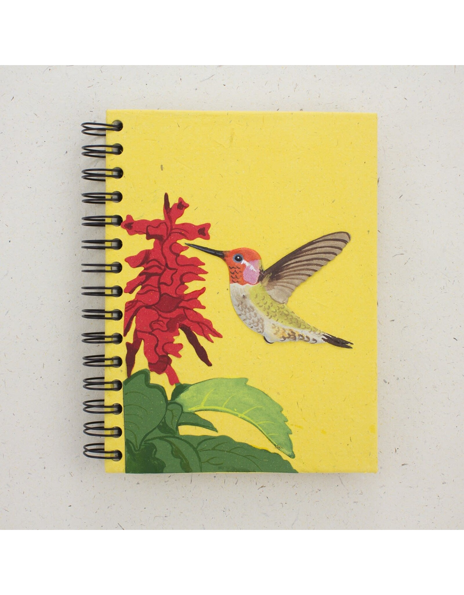 Trade roots Large Notebook, Mr. Ellies Pooh, Sri Lanka Hummingbird