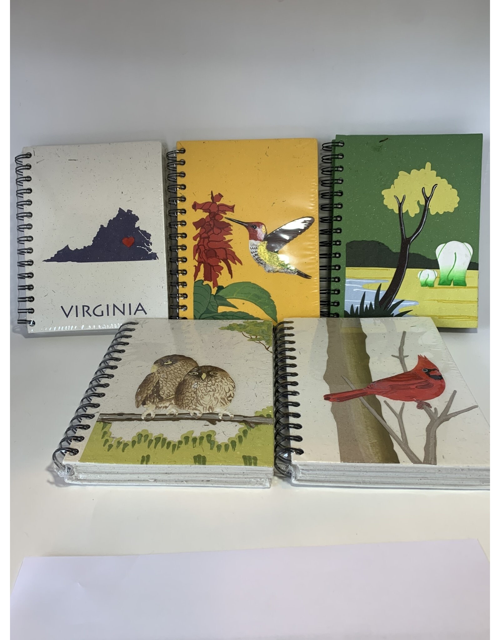 Trade roots Large Notebook, Mr. Ellies Pooh, Sri Lanka Hummingbird