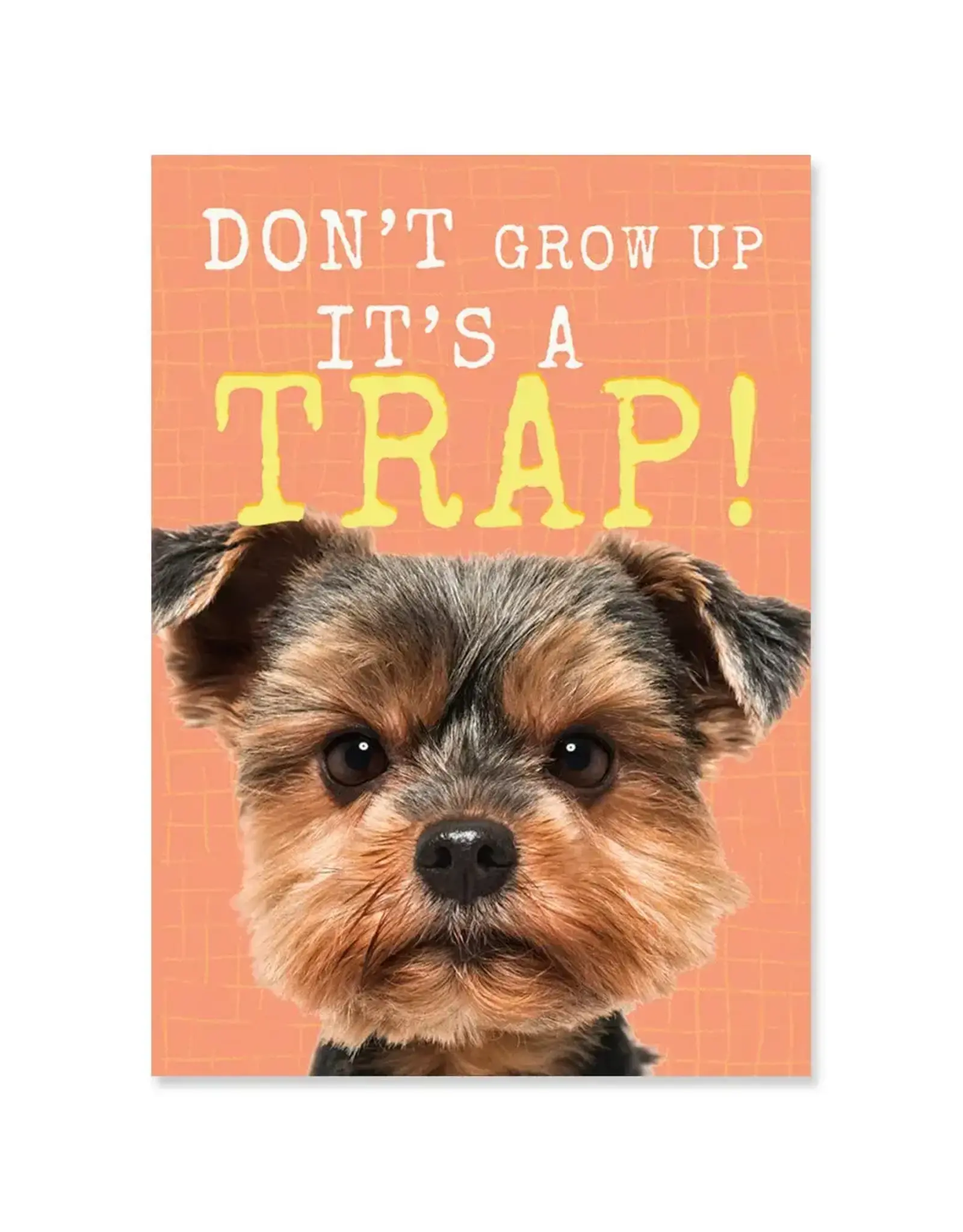 Trap Birthday Greeting Card