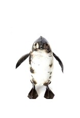 Rustic Metal Penguin