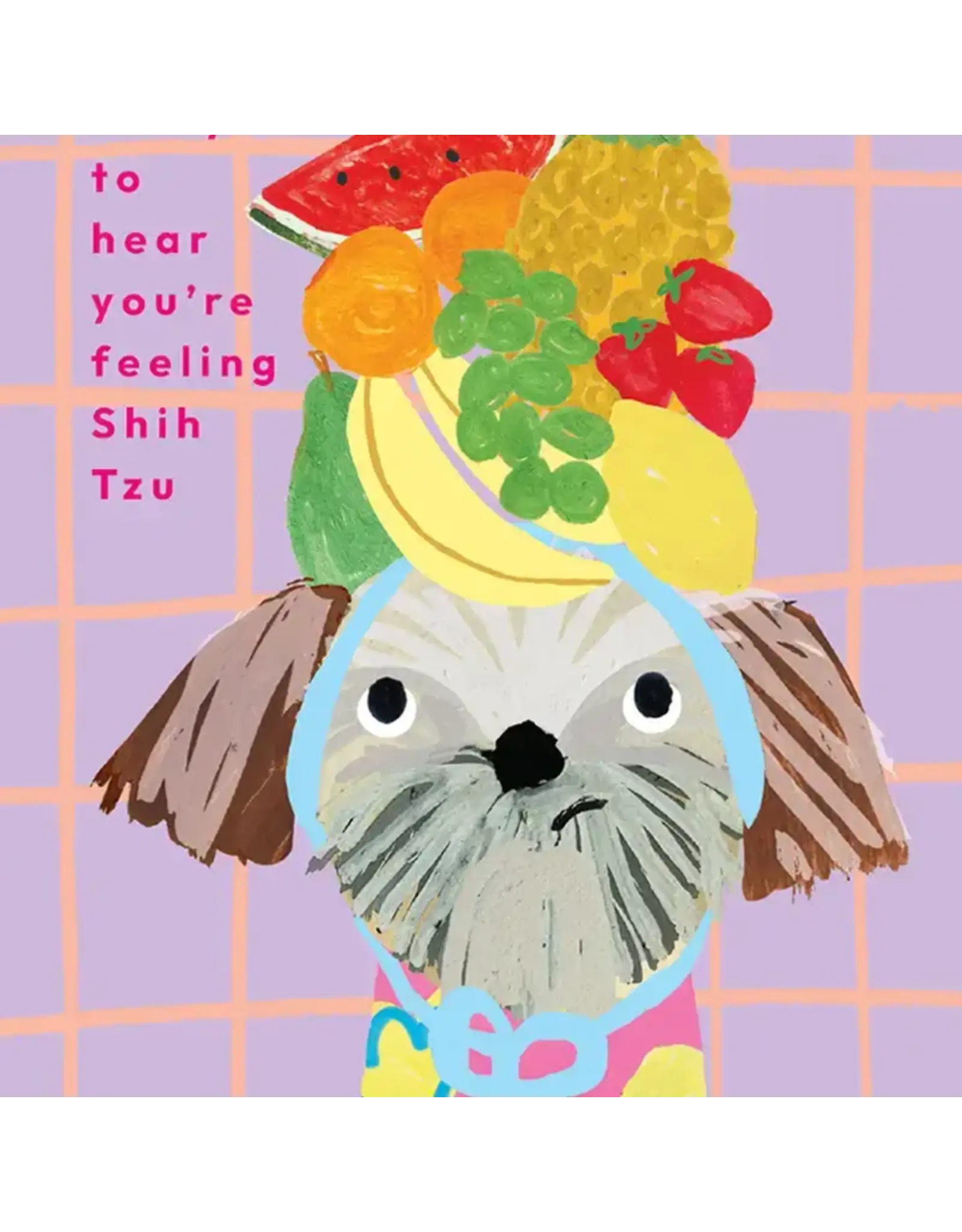 Shih Tzu Get Well Greeting Card