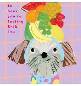 Shih Tzu Get Well Greeting Card