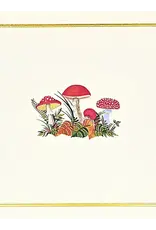 Mushrooms Note Cards