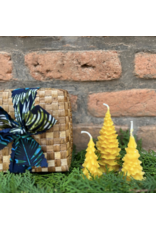 Pine Tree Candle Set in Banana Leaf Box,