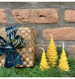 Pine Tree Candle Set in Banana Leaf Box,