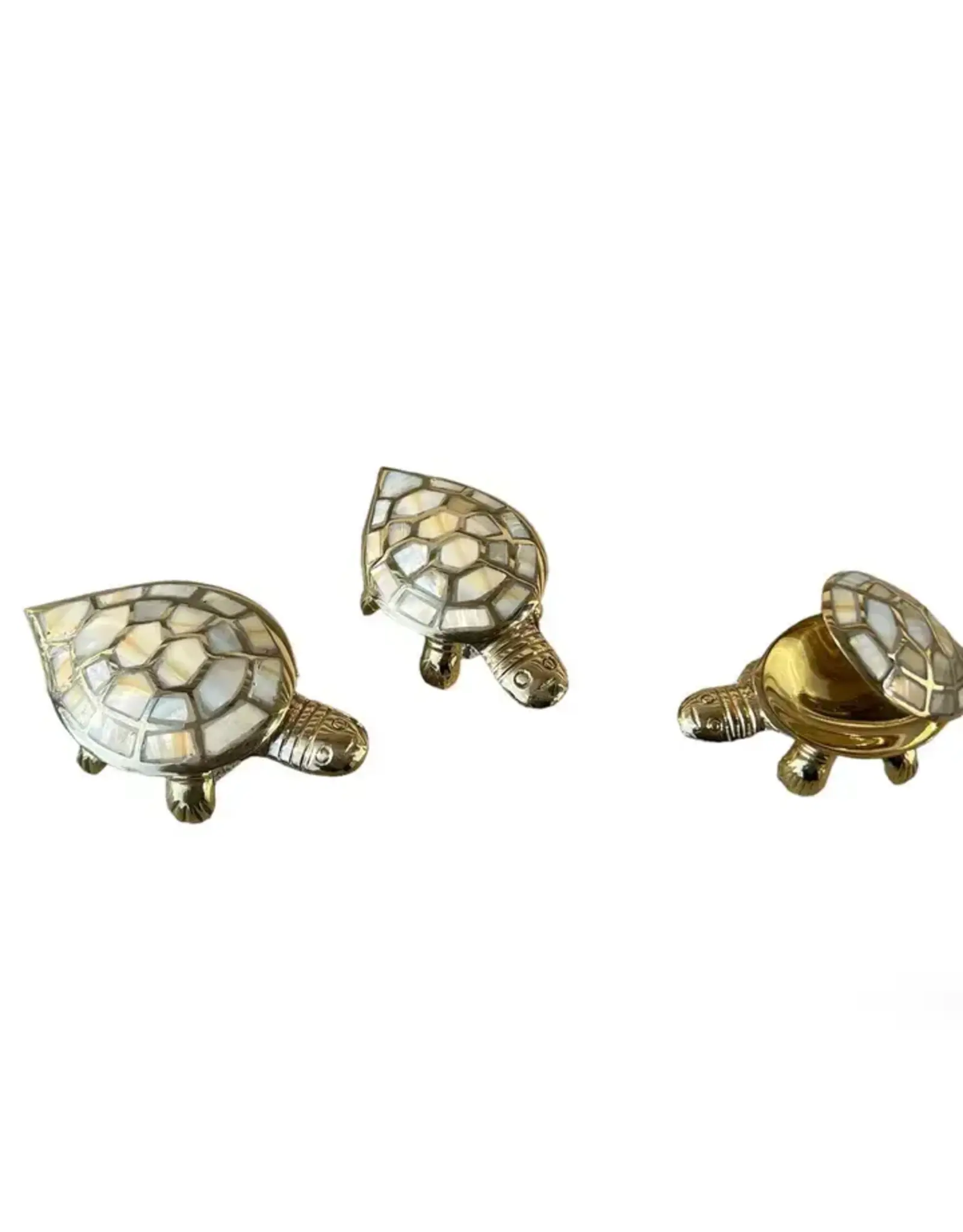 Brass Turtle Box