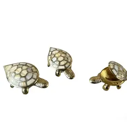 Brass Turtle Box