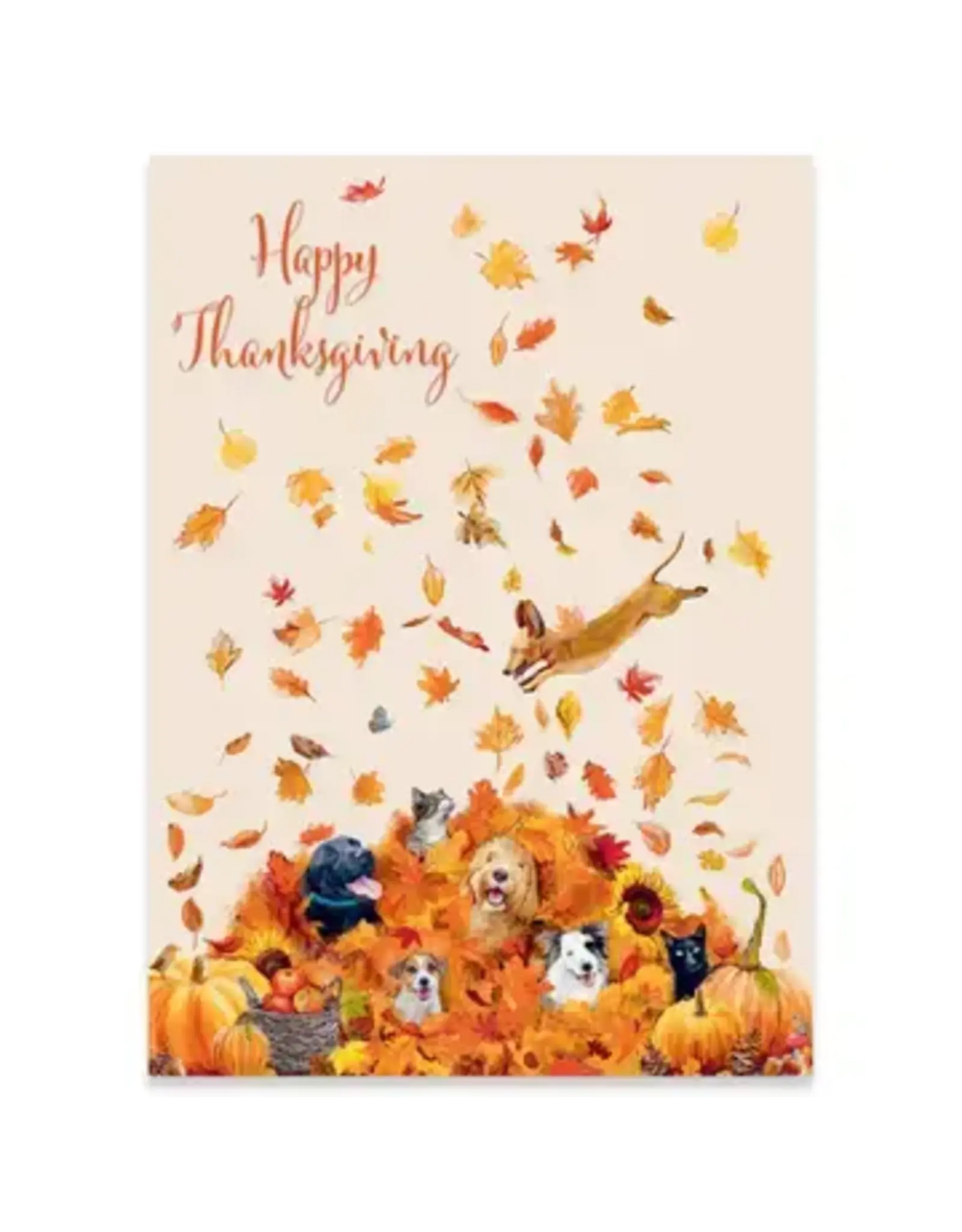 Fun in the Leaves Thanksgiving Greeting Card