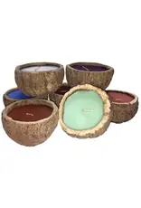 Exotic Scented Brazil Nut Candles, Peru |